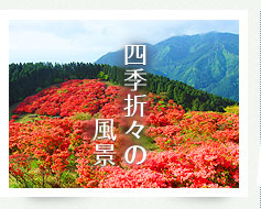 四季折々の風景