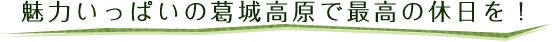 魅力いっぱいの葛城高原で最高の休日を！